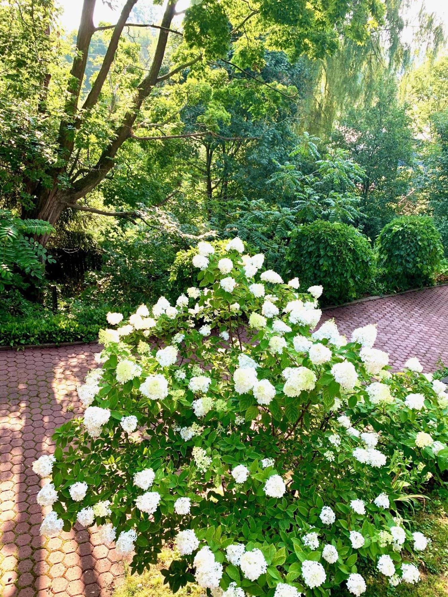 Plantation House Bed & Breakfast ポート・ホープ エクステリア 写真