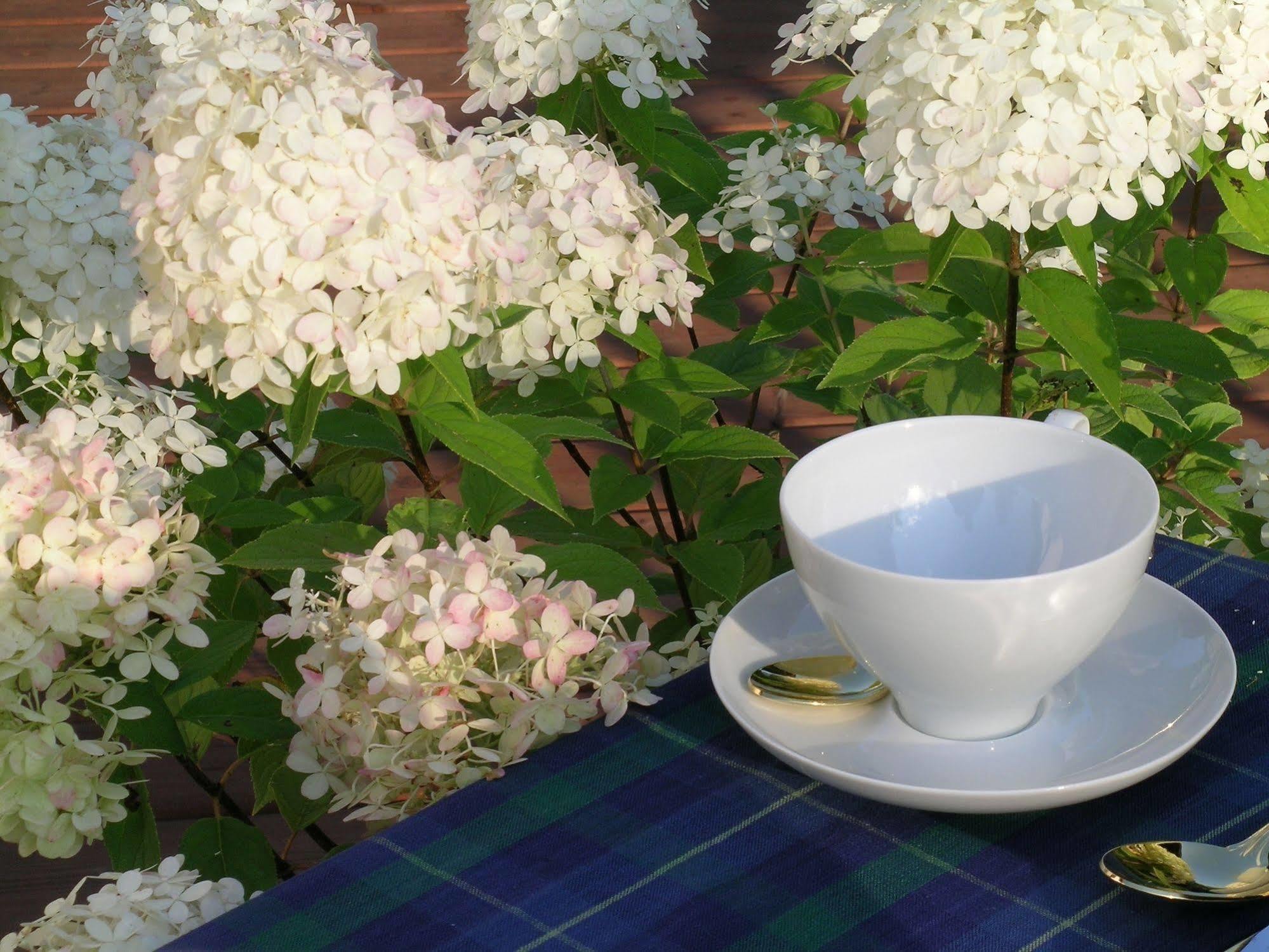 Plantation House Bed & Breakfast ポート・ホープ エクステリア 写真