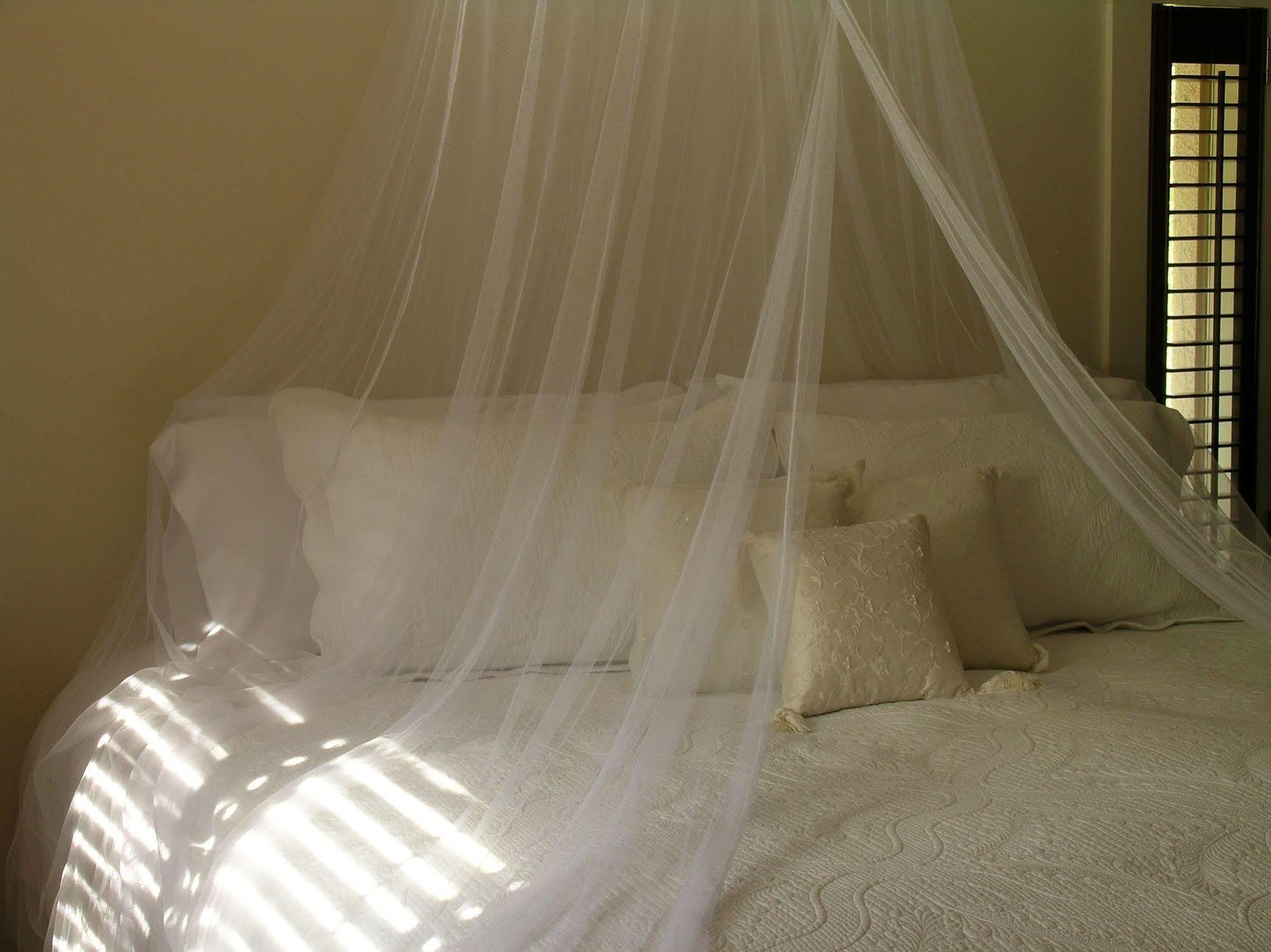 Plantation House Bed & Breakfast ポート・ホープ エクステリア 写真